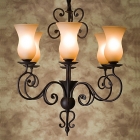 Люстра L'Arte Luce Bozen L12306.36